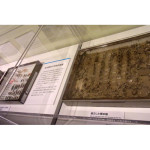 右は被災昆虫標本（©I.HOSOKAWA)